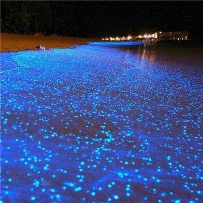 全面出动，视不可挡 | VisionChi...